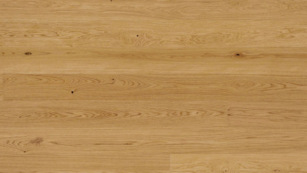 Parador Engineered Wood Flooring Basic 11-5 Chêne huilé naturel Micro 4V biseauté
