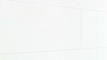 MeisterPanels lambris décor - Terra DP 200 Ridge Oak blanc 4200