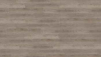 Wineo vinyle à coller - 400 wood L Chêne équilibré gris | Grain synchronisé (DB287WL)