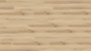 Wineo vinyle à coller - 400 wood XL Nordic Maple Cream | Grain synchronisé (DB289WXL)