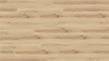 Wineo Sol PVC Rigide clipsable - 400 wood XL Nordic Maple Cream | isolation phonique intégrée (RLC289WXL)