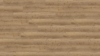Wineo vinyle à coller - 400 wood XL Comfort Oak Nature | Grain synchronisé (DB291WXL)