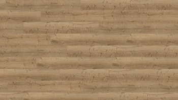 Wineo vinyle à coller - 400 wood XL Comfort Oak Nature | Grain synchronisé (DB291WXL)