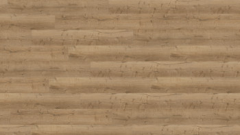 Wineo Sol vinyle multicouche - 400 wood XL Comfort Oak Nature | isolation phonique intégrée (MLD291WXL)