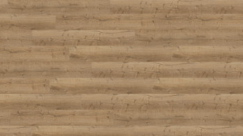 Wineo Sol PVC Rigide clipsable - 400 wood XL Comfort Oak Nature | isolation phonique intégrée (RLC291WXL)