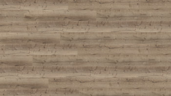 Wineo Sol PVC Rigide clipsable - 400 wood XL Comfort Oak Taupe | isolation phonique intégrée (RLC300WXL)