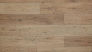 planeo Klick Vinyl - Rigid  Eiche Neapel IXPE ultramatt | Synchronprägung (MF-1113IXPE)