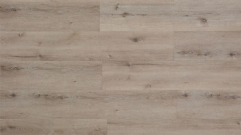 planeo Klick Vinyl - Rigid  Eiche Sassari IXPE ultramatt | Synchronprägung (MF-1112IXPE)