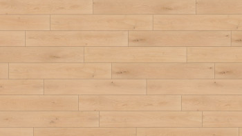 Wineo Bioboden - 1000 wood XL Noble Oak Vanilla zum Kleben (PL310R)