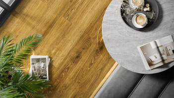 planeo Stratifié - BlueLine Chêne Victorien Haut Brillant (L100P4189HG)
