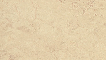 Forbo Linoléum Marmoleum Real - calico 2713