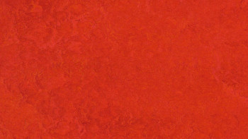 Forbo Linoléum Marmoleum Fresco - scarlet 3131