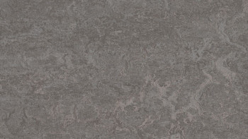 Forbo Linoléum Marmoleum Real - gris ardoise 3137