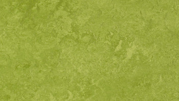 Forbo Linoléum Marmoleum Fresco - green 3247