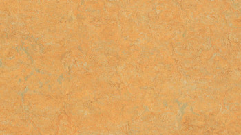 Forbo Linoleum Marmoleum Real - safran doré 3847 2.0