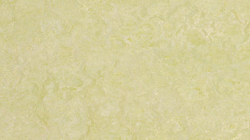 Forbo Linoléum Marmoleum Real - green wellness 3881 2.0