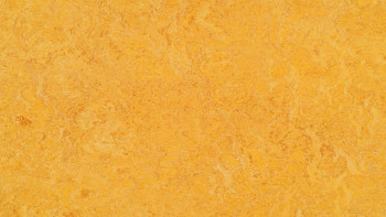 Forbo Linoleum Marmoleum Real - dandelion 3225