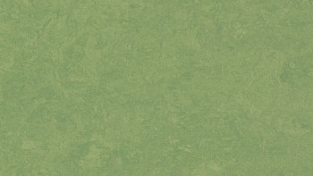 Forbo Linoléum Marmoleum Fresco - leaf 3260