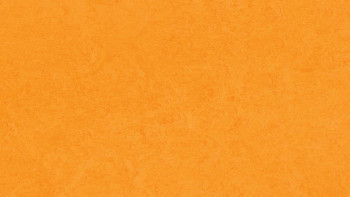 Forbo Linoléum Marmoleum Fresco - marigold 3262