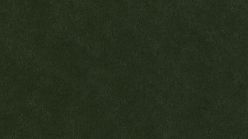 Forbo Linoléum Marmoleum Walton - bottle green 3359