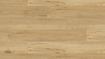 planeo Vinyle à coller - Wood&Rock Floresta | Apparence authentique (DGWR-8100)