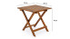 planeo Table de jardin en acacia huilé 46 x 46 cm pliable