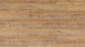 Wicanders Sol vinyle multicouche - wood Hydrocork Rye Pine (B5P5003)