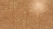 Wicanders Cork Flooring - Liège Essence Originals Accent