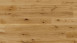 Parador Engineered Wood Flooring Basic 11-5 Chêne vernis mat Micro 4V biseauté