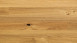 Parador Engineered Wood Flooring Basic 11-5 Chêne noueux mat laqué