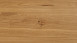 Parador Engineered Wood Flooring Basic 11-5 Chêne rustique huilé naturel Micro 4V biseauté