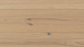 Parador Engineered Wood Flooring Basic 11-5 Chêne brossé huilé naturel blanc Micro 4V biseauté