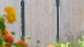planeo Gardence Resistant - Brise vue HPL Vertical aspect bois