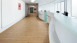 Project Floors sol PVC adhésif - floors@home20 PW 3110-/20