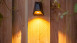 planeo Éclairage de jardin 12V - Applique murale et lampe de sol à LED Tiga DL - 5W - 75 lumens