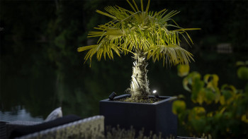 planeo Castor Smart 12V - Faretto LED Zigbee