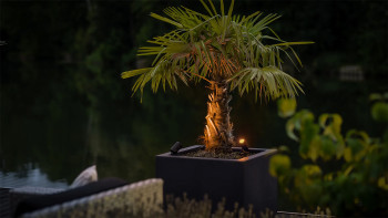 planeo Castor Smart 12V - Faretto LED Zigbee