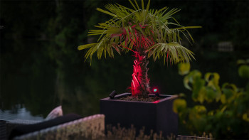 planeo Castor Smart 12V - Faretto LED Zigbee