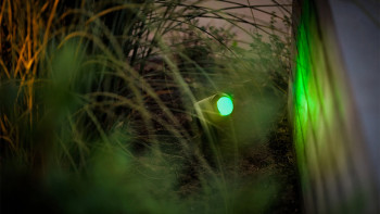 planeo Castor Smart 12V - Faretto LED Zigbee