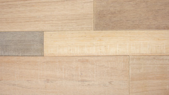 planeo WoodWall - Parete della Baracca FSC Toscana