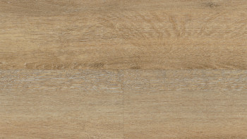 Wineo Vinile Rigido ad incastro - 400 wood XL Joy Oak Tender | isolamento acustico integrato (RLC126WXL)