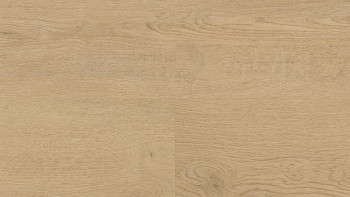 Wineo Vinile multistrato - 400 wood L Plain Oak Beige | isolamento acustico integrato (MLD281WL)