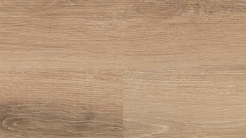Vinile adesivo Wineo - 400 legno L Vivid Oak Nature | Goffratura sincronizzata (DB283WL)