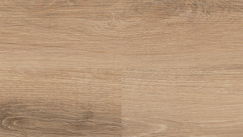 Wineo Vinile multistrato - 400 wood L Vivid Oak Nature | isolamento acustico integrato (MLD283WL)