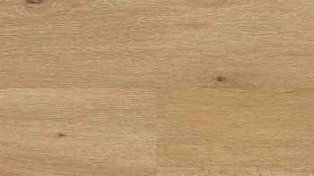 Vinile adesivo Wineo - 400 legno XL Country Oak Nature | Goffratura sincronizzata (DB294WXL)