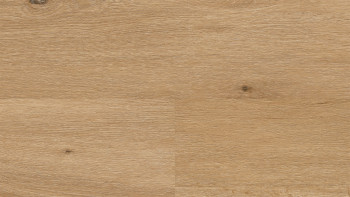 Wineo Vinile Rigido ad incastro - 400 wood XL Country Oak Nature | isolamento acustico integrato (RLC294WXL)