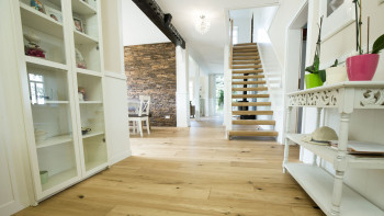 planeo Parquet - COUNTRY Quercia europea (PU-000150-N)