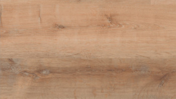 Skaben Vinile ad incastro - ProfiKlick Miele di quercia dorato | goffratura sincrona (SP-6200191)