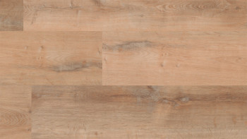 Skaben Vinile ad incastro - ProfiKlick Miele di quercia dorato | goffratura sincrona (SP-6200191)