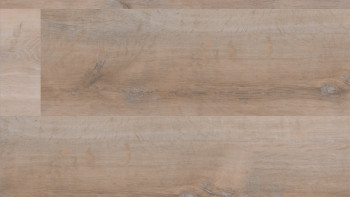 Skaben Vinile ad incastro - ProfiKlick Rovere dorato bianco | goffratura sincrona (SP-6200193)